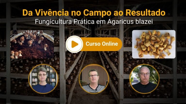 Fungicultura Cultivo de Agaricus blazei